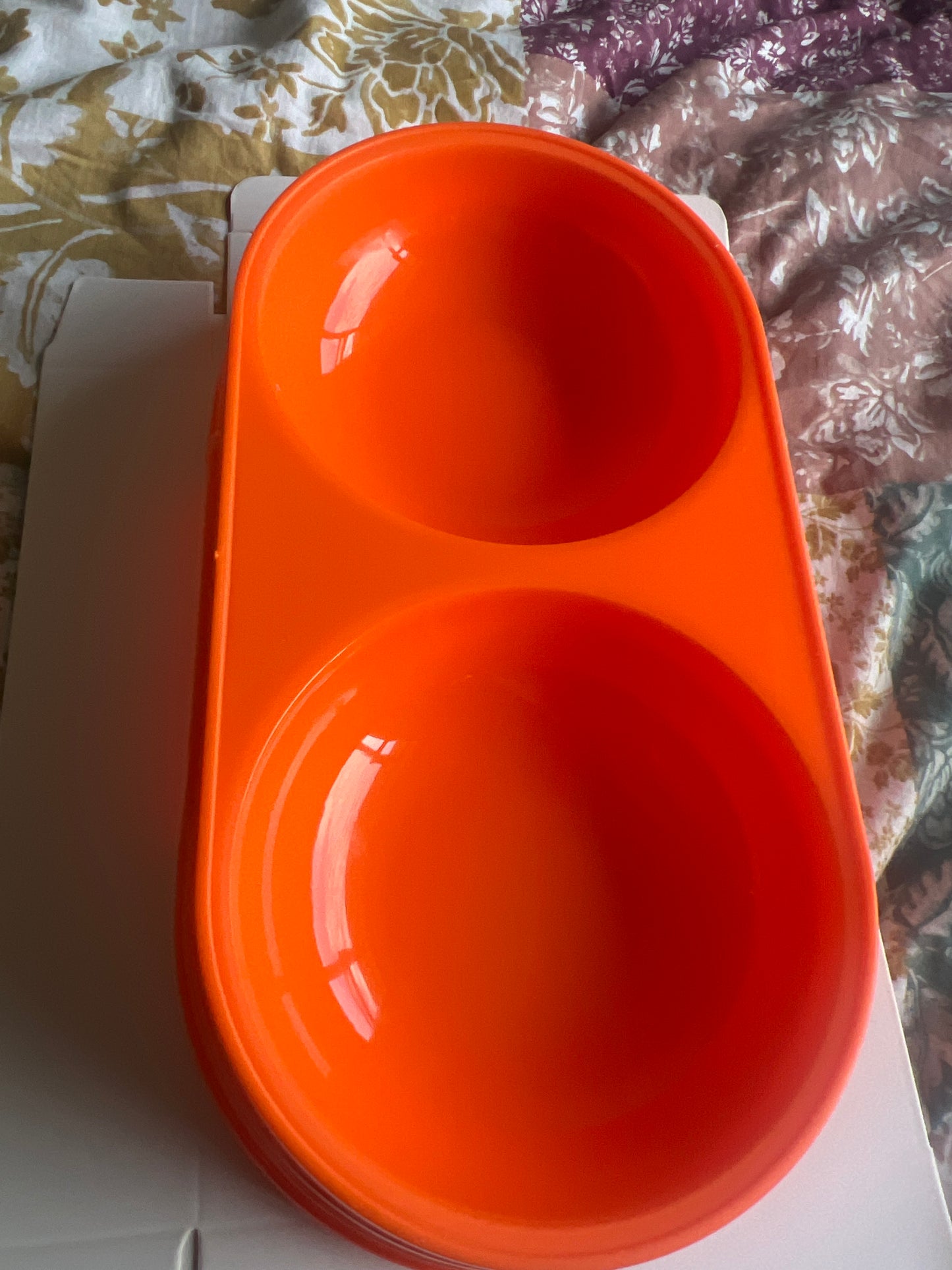 Double Dog Bowl