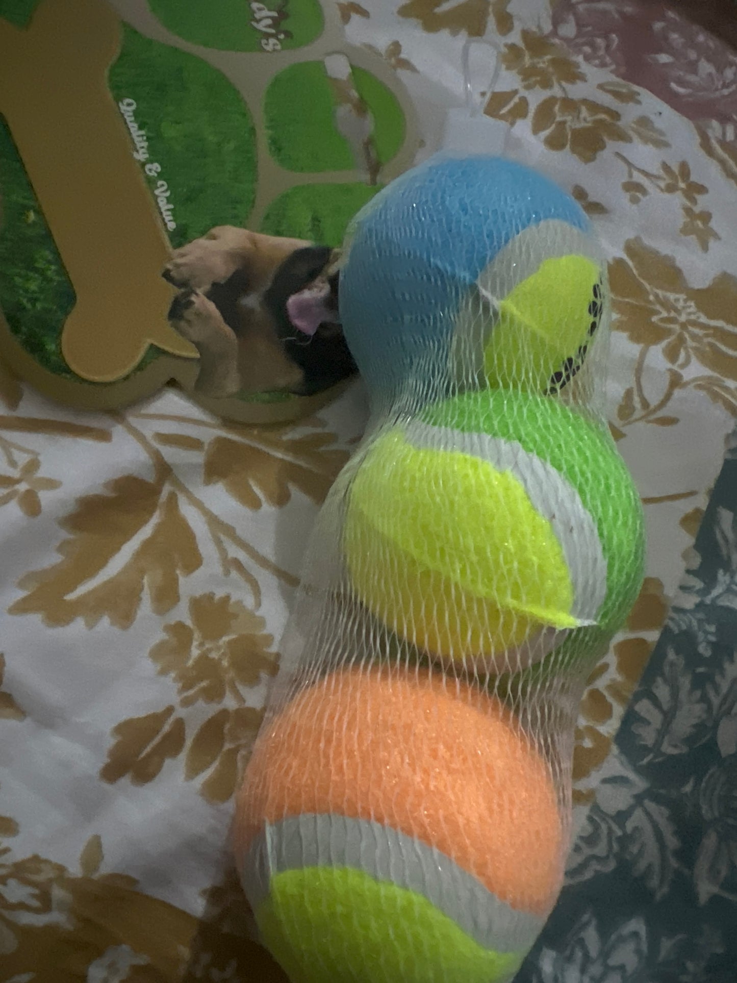 Pet Ball