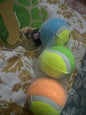 Pet Ball