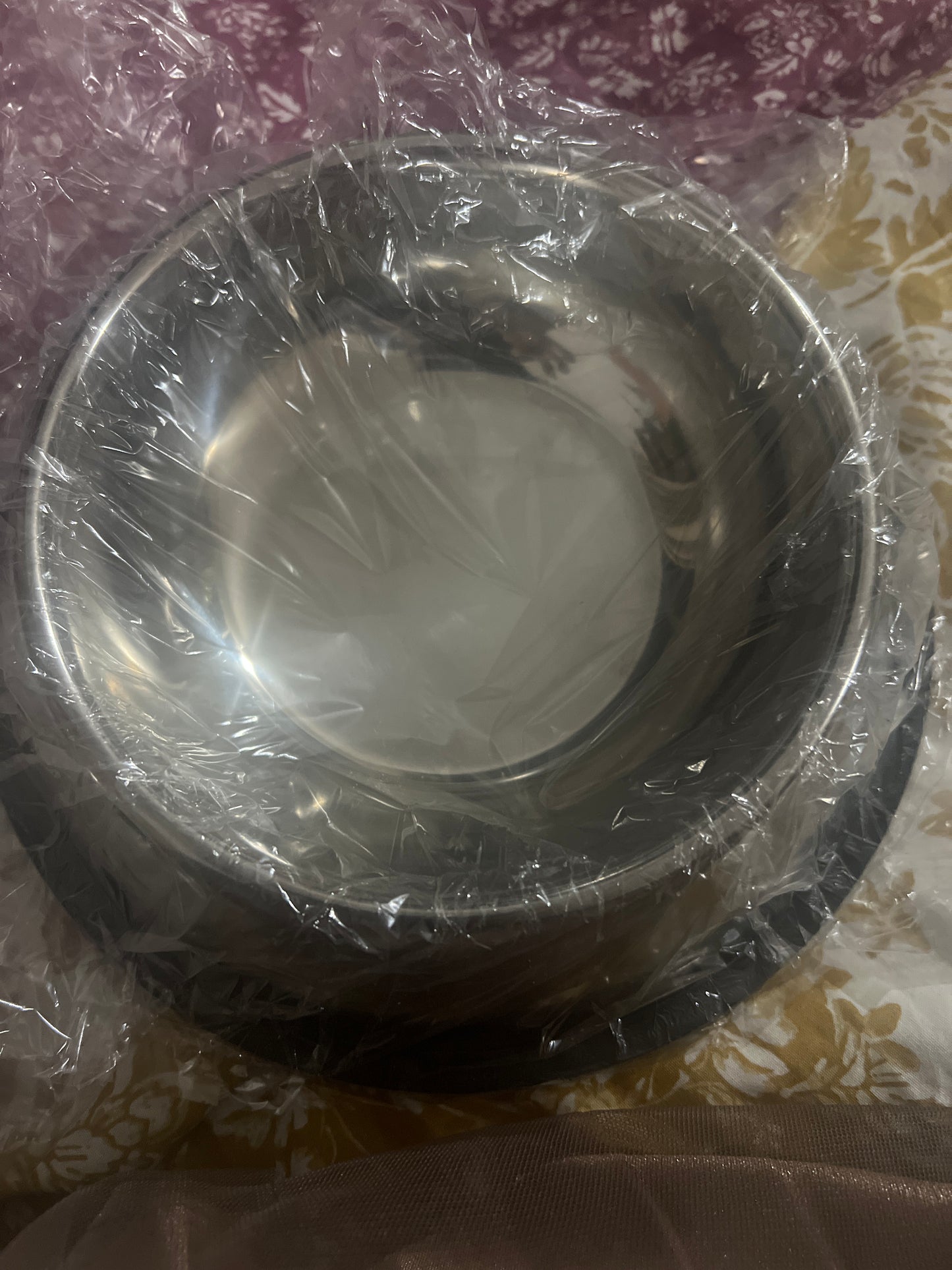 Dog Bowl