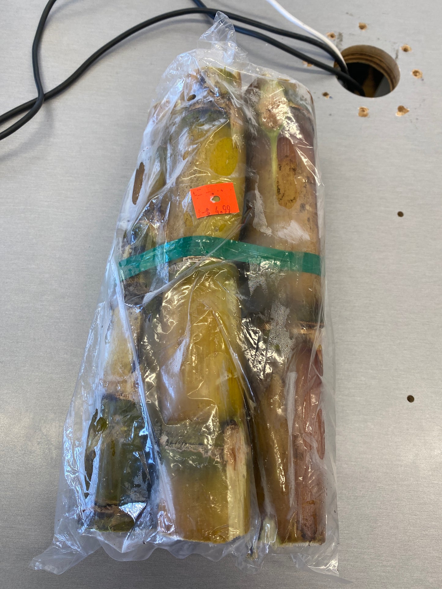 Sugar Cane